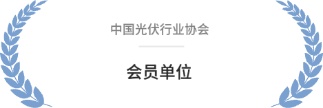 中国光伏行业协会