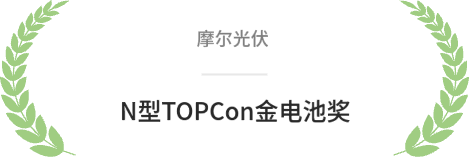 摩尔光伏